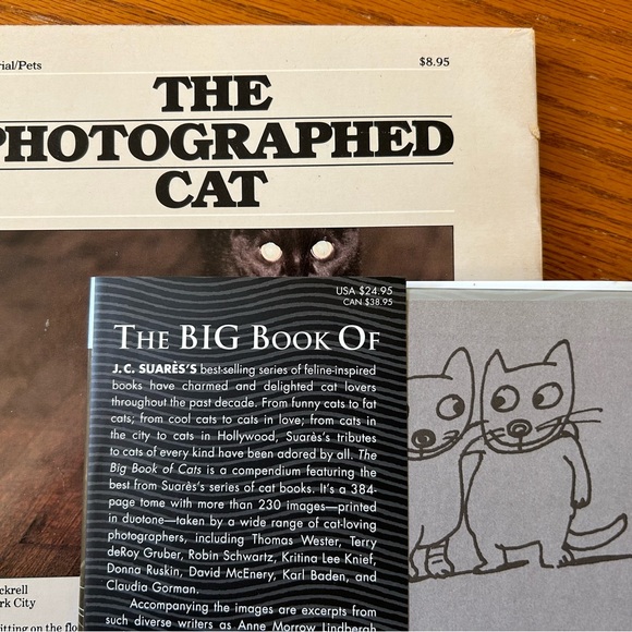 Two books of Cats & Kittens. Cute, cuddly and mischievous A must for Cat Lovers! - Picture 3 of 4